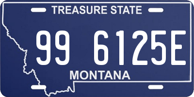 MT license plate 996125E