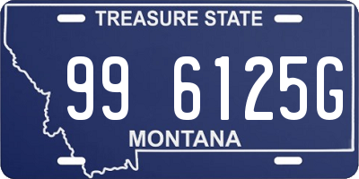 MT license plate 996125G