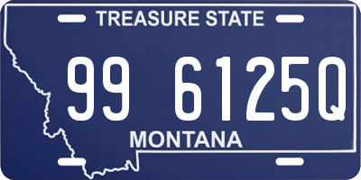 MT license plate 996125Q