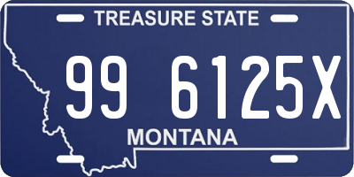 MT license plate 996125X