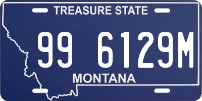 MT license plate 996129M