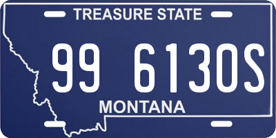 MT license plate 996130S