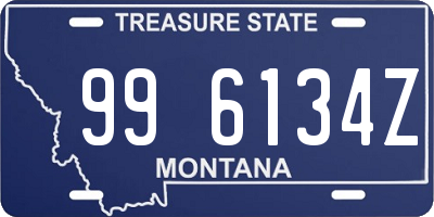 MT license plate 996134Z