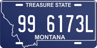 MT license plate 996173L