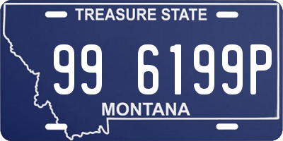 MT license plate 996199P