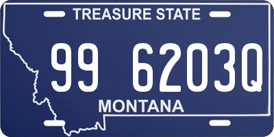 MT license plate 996203Q