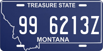 MT license plate 996213Z