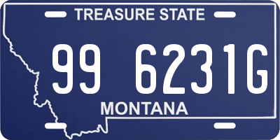 MT license plate 996231G