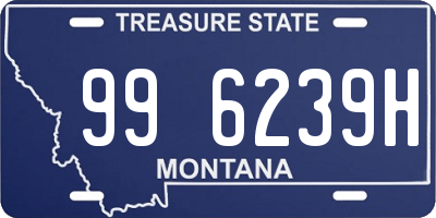MT license plate 996239H