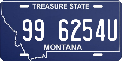 MT license plate 996254U