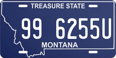 MT license plate 996255U