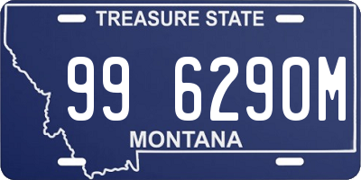 MT license plate 996290M