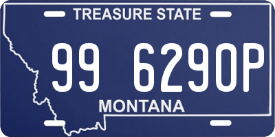 MT license plate 996290P