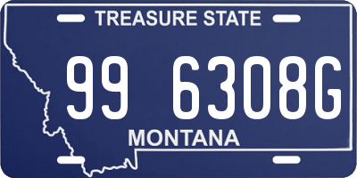 MT license plate 996308G