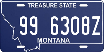 MT license plate 996308Z