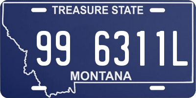 MT license plate 996311L