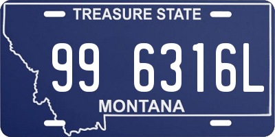 MT license plate 996316L