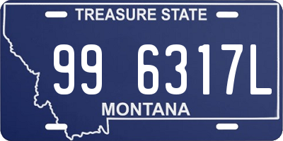 MT license plate 996317L