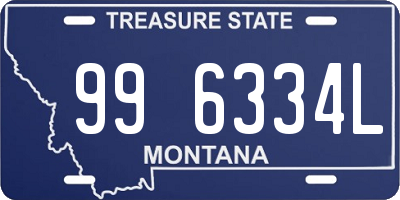 MT license plate 996334L