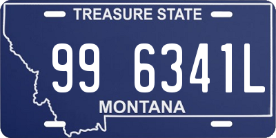 MT license plate 996341L