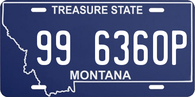 MT license plate 996360P