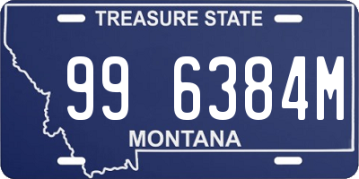 MT license plate 996384M