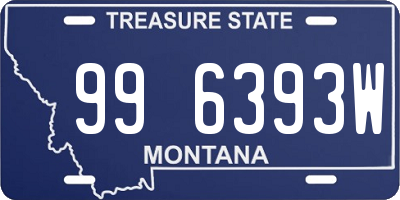 MT license plate 996393W