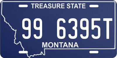 MT license plate 996395T