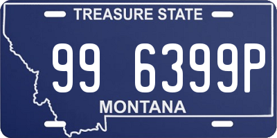 MT license plate 996399P