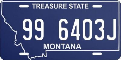 MT license plate 996403J