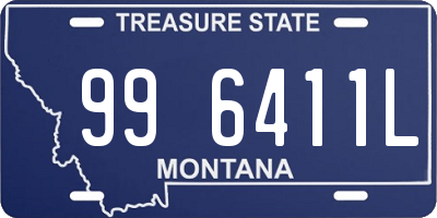 MT license plate 996411L