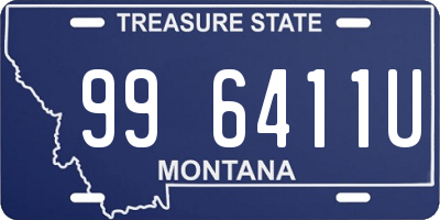 MT license plate 996411U