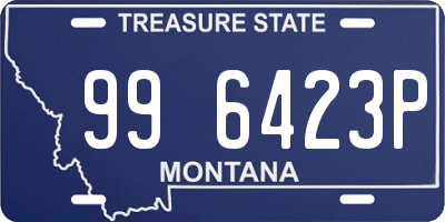 MT license plate 996423P