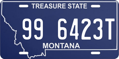 MT license plate 996423T