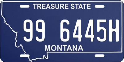 MT license plate 996445H