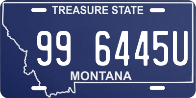 MT license plate 996445U