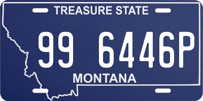 MT license plate 996446P