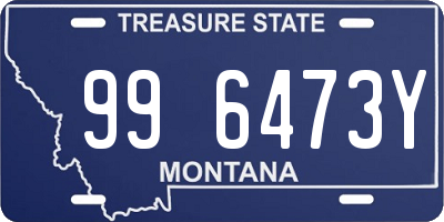 MT license plate 996473Y