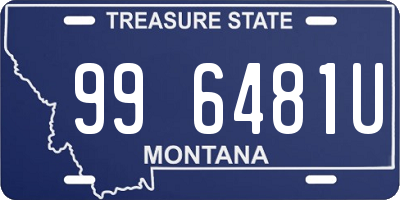 MT license plate 996481U