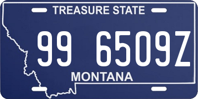 MT license plate 996509Z