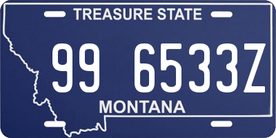 MT license plate 996533Z