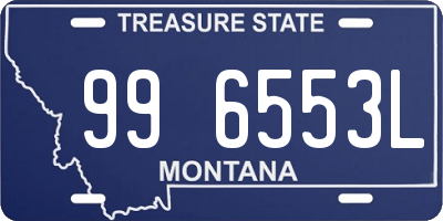 MT license plate 996553L