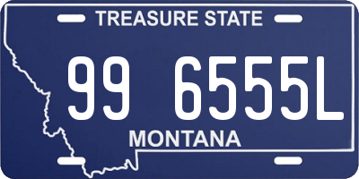 MT license plate 996555L