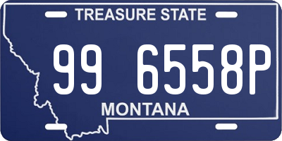 MT license plate 996558P