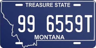 MT license plate 996559T