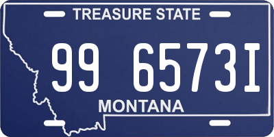 MT license plate 996573I