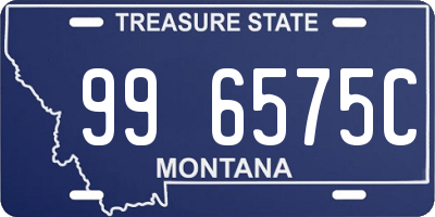 MT license plate 996575C