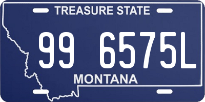 MT license plate 996575L