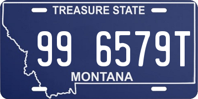 MT license plate 996579T