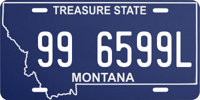 MT license plate 996599L